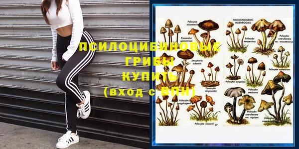 герыч Богородицк