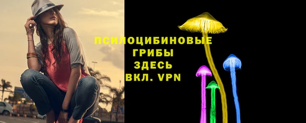 МДПВ Богородск