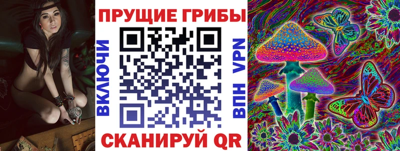 МЕГА ССЫЛКА  Пенза  Галлюциногенные грибы GOLDEN TEACHER 